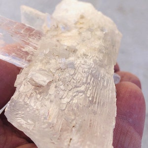 New Find Unique Fishtail Selenite Crystal, Geology Gifts, Gypsum, Minerals, Crystals, Home Decor