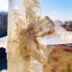 Unique formation of Selenite Crystal - rare and super showy collector item