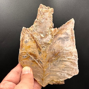 Golden Selenite Crystal from Turkey, Fishtail Selenite - Collector item