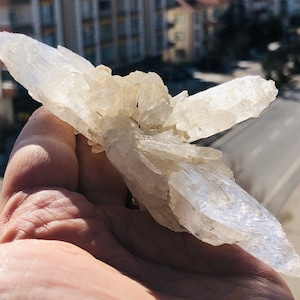 Stunning and unique fishtail Selenite crystal formation - so beautiful collector item