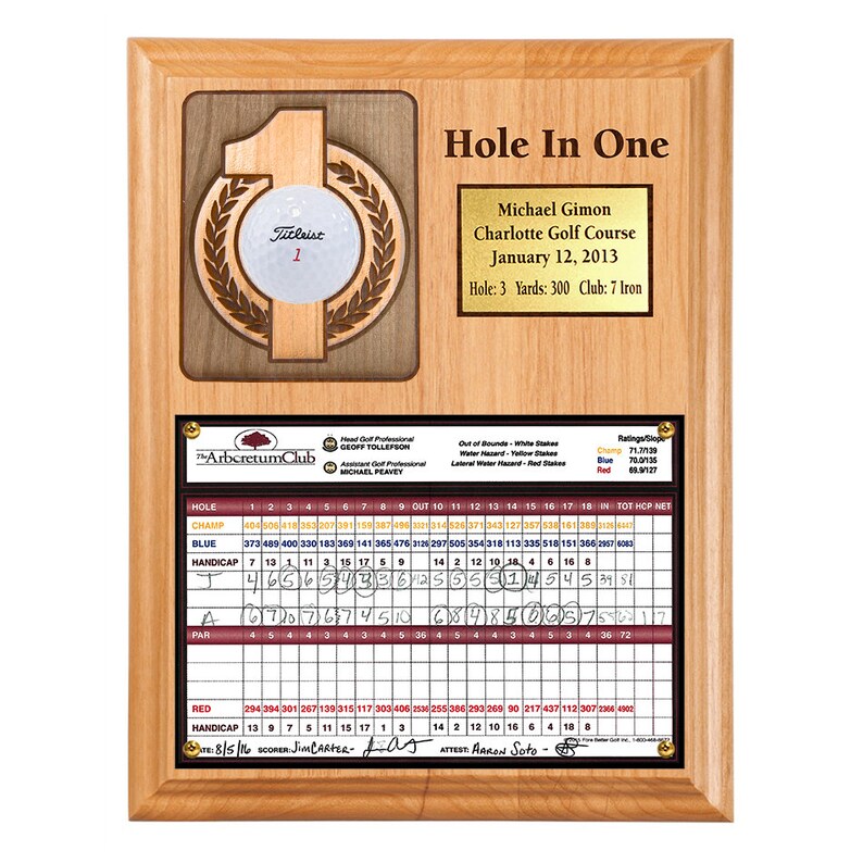Hole in One Ball and Photo/scorecard Plaque Vertical With Brass Plate Etsy