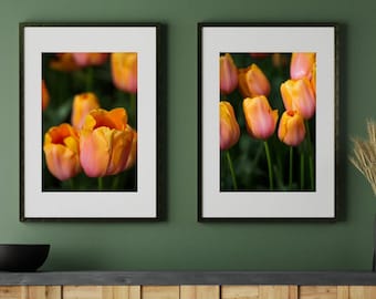 Orange tulips at KEUKENHOF tulip gardens. 2 digital download photos. Flower photography for your romantic wall.