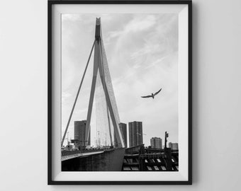 ROTTERDAM. Czarno-biała fotografia uliczna. Sztuka ścienna do druku, pobieranie cyfrowe.