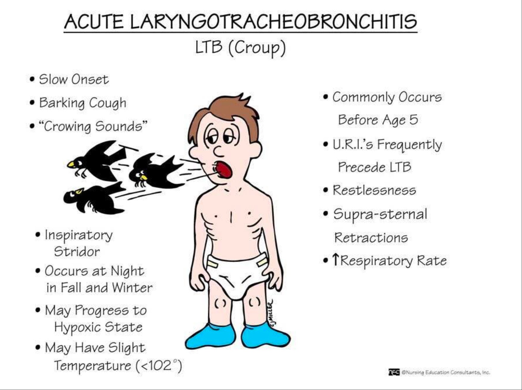 Memory Nursing Book PDF Etsy