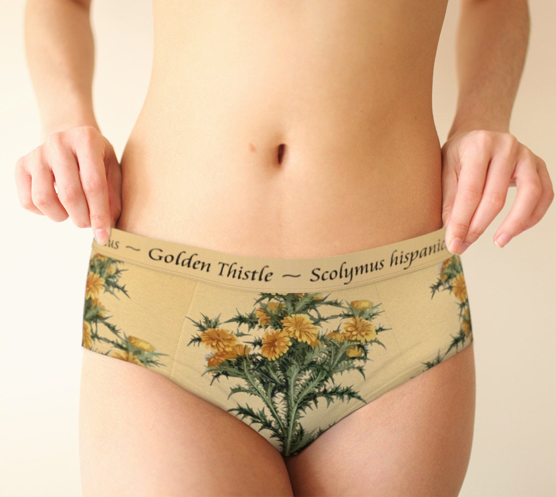 Golden Thistle Womens Briefs Womens Underwear Botanical Art Underwear  Scolymus Hispanicus 
