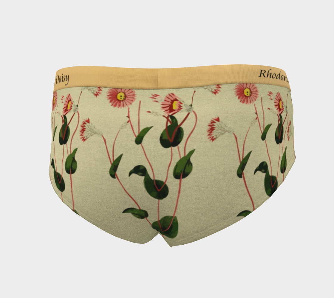 Ladies Briefs, Women's Hearts Panties, Tasteful Anniversary Gift for Her,  Wife, Girlfriend