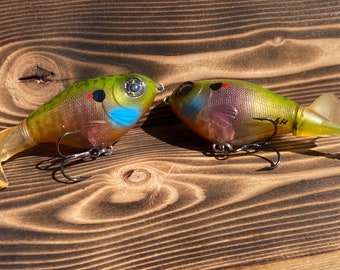 Fish 30 Acre Deluxe Gill Clone | Custom Painted| Blue Gill Swimbait - Etsy