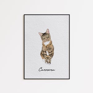 May include: Watercolor painting of a tabby cat with brown and black stripes, white chest, and green eyes. The cat is sitting upright with its head tilted. The name "Carrera" is written in cursive below the cat.