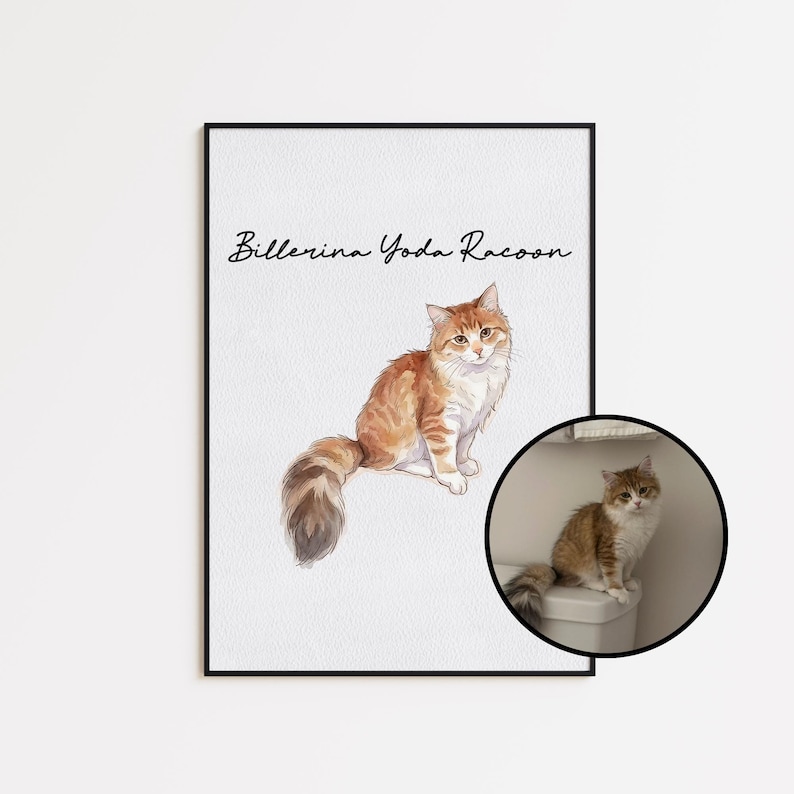 May include: A framed print featuring a watercolor illustration of a fluffy orange and white cat with a long tail. The text "Billerina Yoda Racoon" is written above the cat. A smaller circular image of the cat is in the lower right corner.