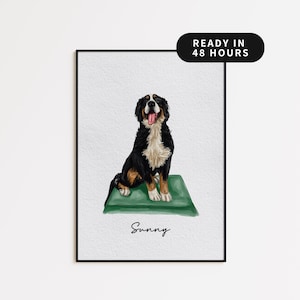 May include: A framed print featuring a Bernese Mountain Dog illustration. The dog is depicted sitting on a green mat with its tongue out. The word "Sunny" is written below the dog. The text "READY IN 48 HOURS" is in a black oval.