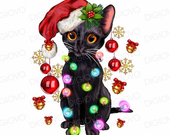 Christmas Black Santa Cat Png Sublimation Design,Christmas Animal Png,Christmas Png,Merry Christmas ,Western Christmas Png ,Digital Download