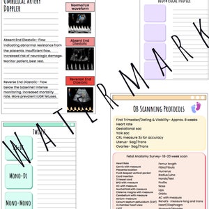 OBGYN Note-taking Templates - Etsy