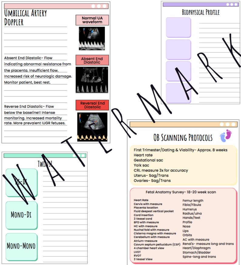 OBGYN Note-taking Templates - Etsy