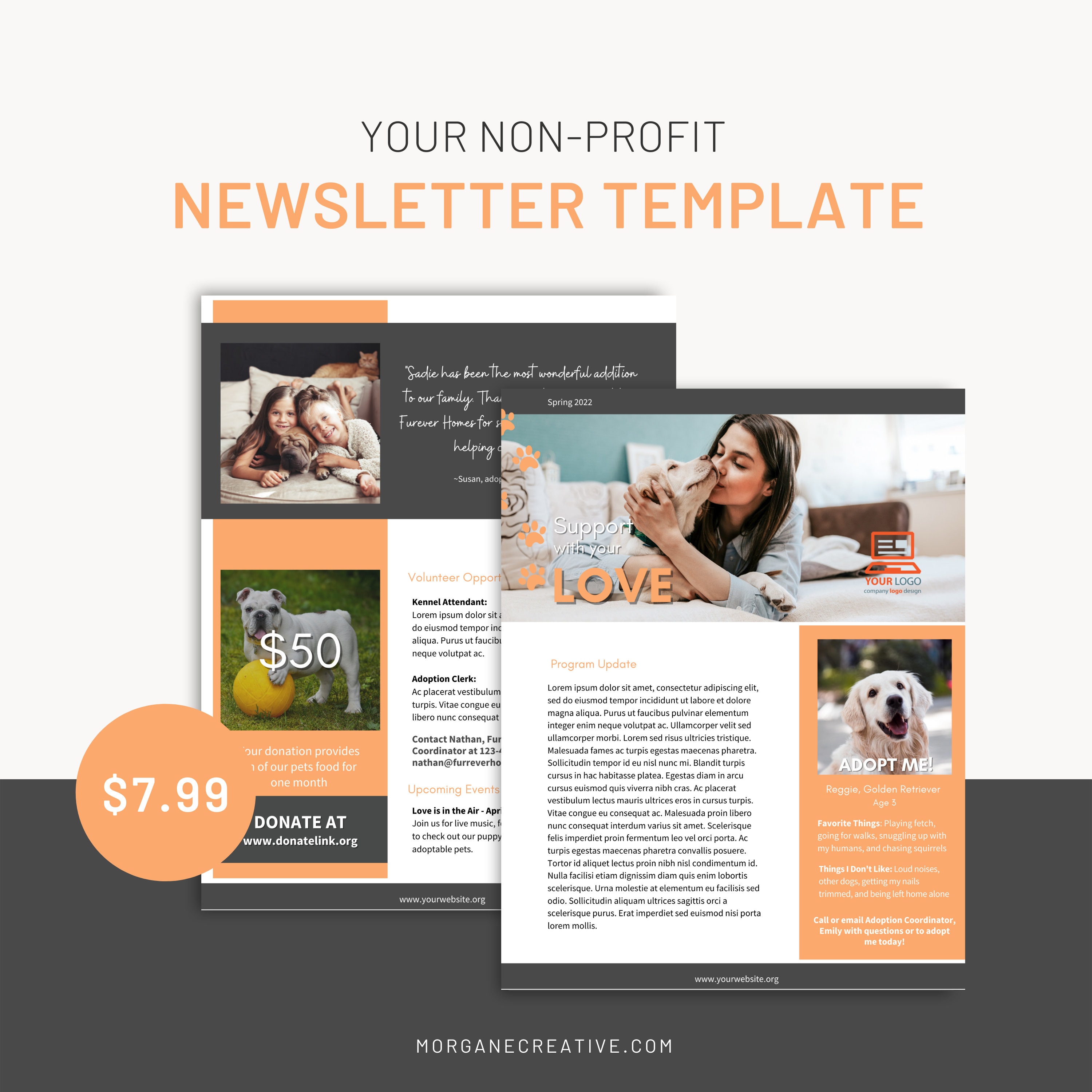 Nonprofit Newsletter TEMPLATE Etsy Nonprofit Newsletter TEMPLATE Etsy