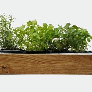 Wooden herb box - oak | Plant box for 3-4 herb pots | Herb garden kitchen | Indoor herb station | Sustainable gift | Eco