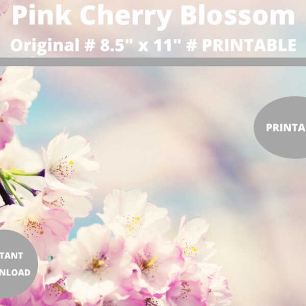 Pink Cherry Blossom : Wall Art Prints | Printable Cherry Blossom Bloom, Cherryblossoms