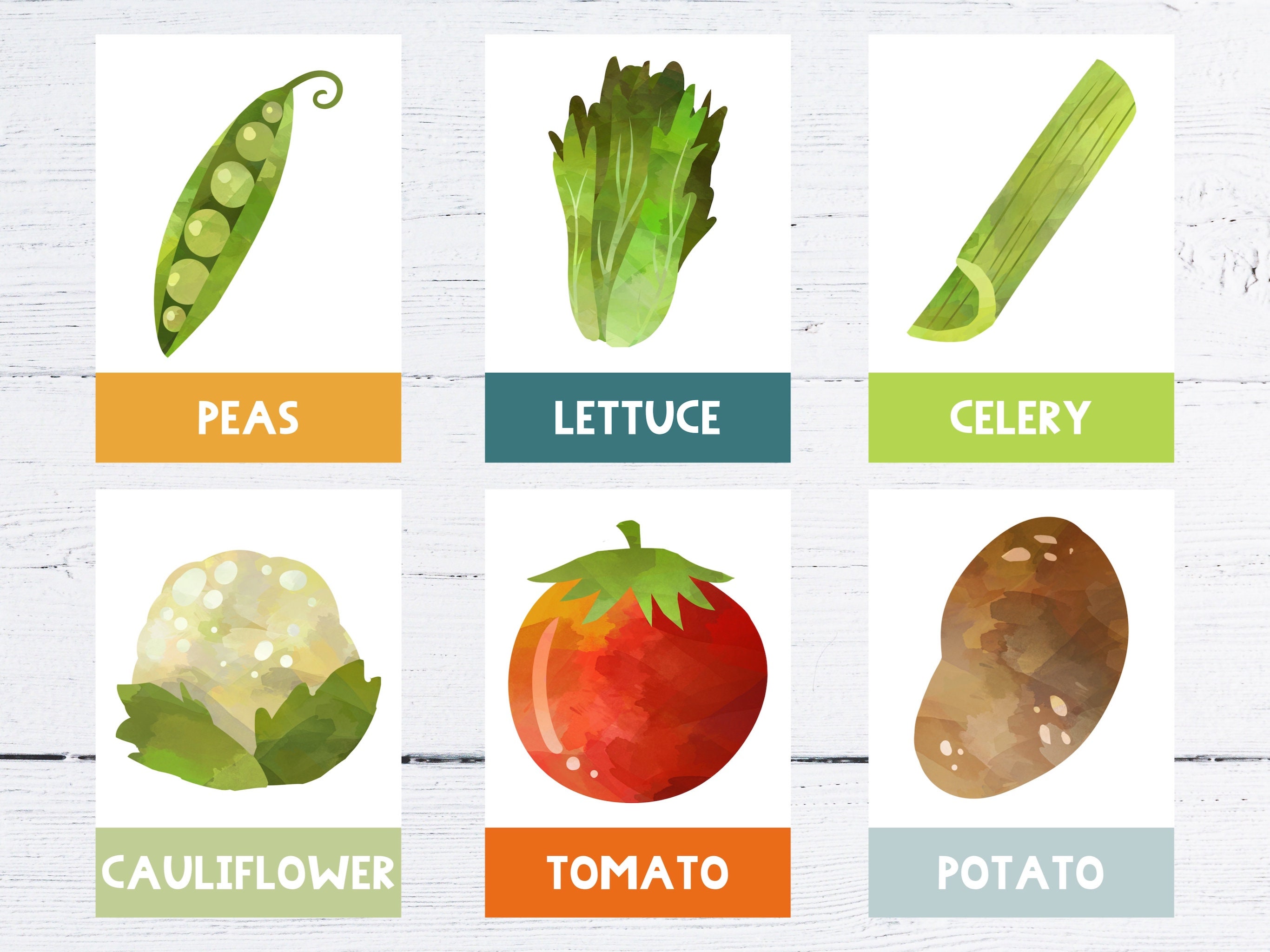 Printable Watercolor Fruits & Vegetables Flash Cards (digital) - Etsy