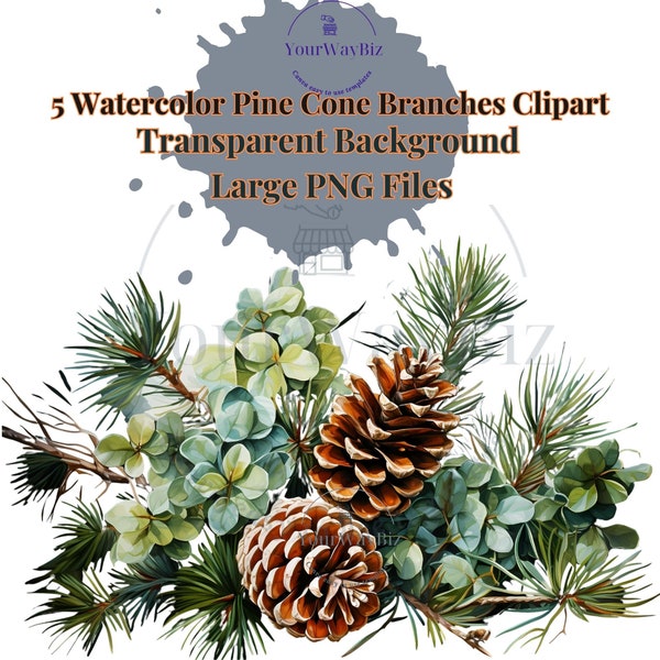 Pine Cone Clipart, Watercolor Pine Cone Designs, Pine Bough Clipart, Pine Cone Branches, Botanical Winter Elements, Digital File, PNG file