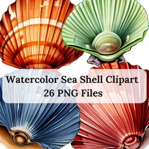 Aquarelle coquillage clipart, clipart plage, océan clipart, clipart mer, Scrapbook, coquillage png, fabrication de cartes, sublimation, pochoir clipart