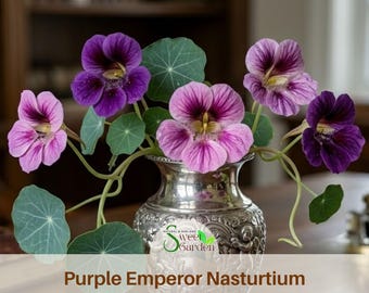 Purple Emperor Nasturtium Seeds - Fast Growing - Flowering- Open-Pollinating - Draft Resistant -Dwarf - Plant in Spring/Late Winter
