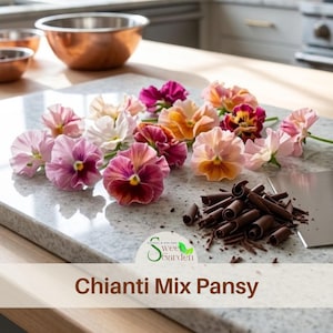 May include: A collection of Chianti Mix pansy flowers in shades of pink, purple, and orange, arranged alongside a pile of dark chocolate curls on a speckled surface. The logo for Sweet Garden is visible, and the text reads Chianti Mix Pansy.