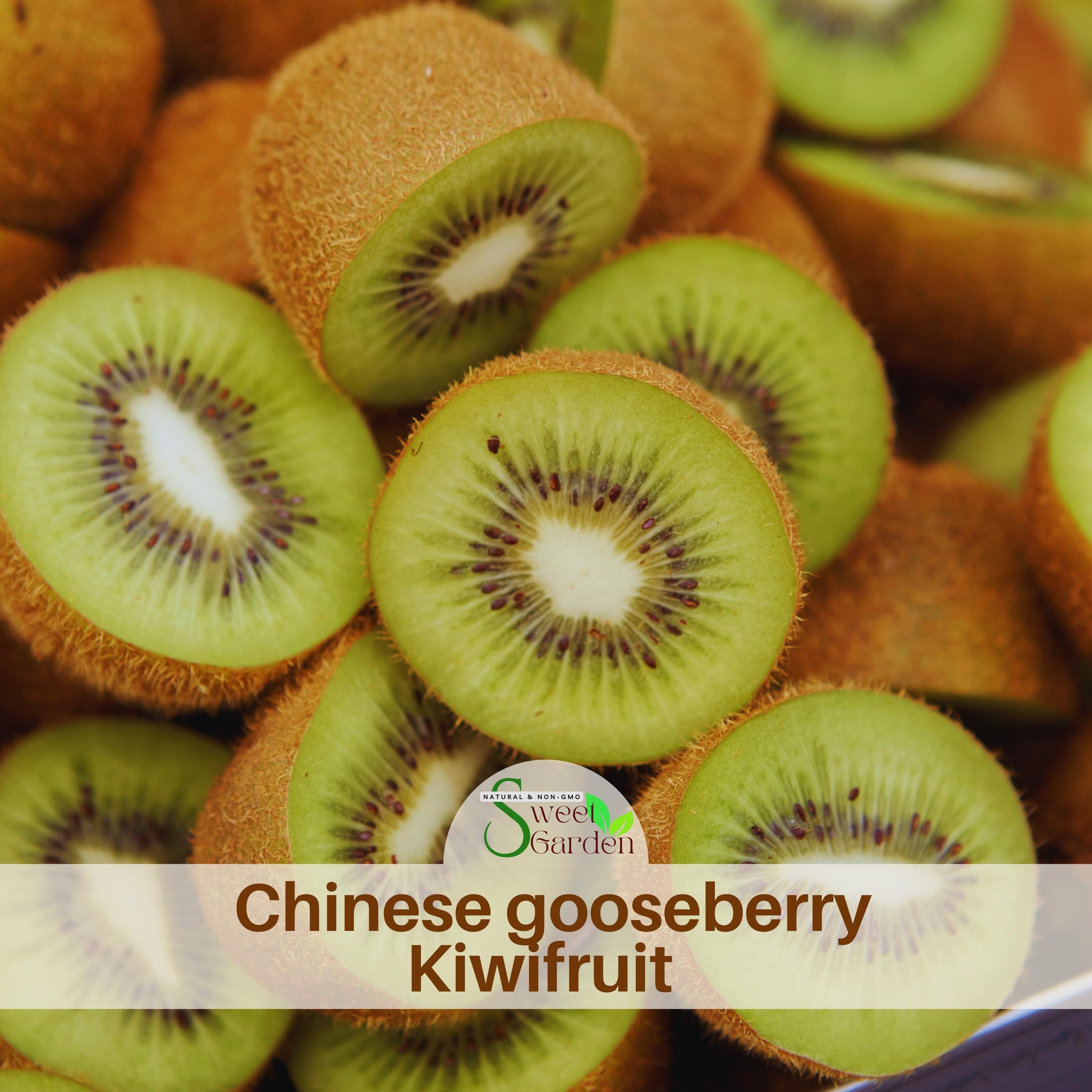 きうい 20 Seeds| Kiwi Fruit, Chinese Gooseberry Seeds- Rare Kiwi Fruit