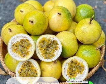 25s| Yellow Passion Fruit Seeds – Sweet Tropical Vine – Fast Growing – High Yield – Easy To Grow – Garden Favorite – Rare Exotic #New 5-10