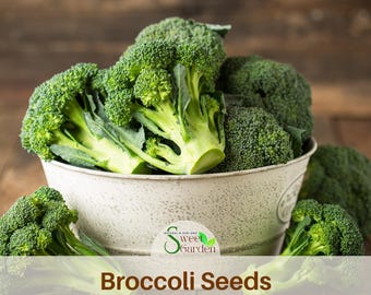 Broccoli  Seeds-biennial -Authentic Seeds-Flowers -. Non GMO -Vegetable Seeds-Mix Seeds for Plant-