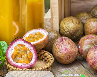 25s| Purple Passion Fruit Seeds – Exotic Tropical Vine – Sweet Tart Edible Fruit – Easy To Grow – Passiflora Edulis – Non-GMO #New 5-9