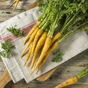 Solar Yellow Carrot Seeds – 300+ Count, Non-GMO, Grown In USA, Free Shipping! Perfect For Your Summer Garden
