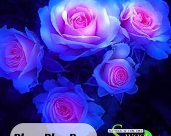 ★ BLUE ROSE★ Farmhouse Floral C6885-BLUE From Penny Rose Fabrics by the