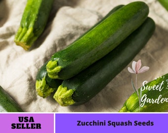 25 Seeds|  Zucchini Squash Seeds - Perennial -Authentic Seeds-Flowers -Organic. Non GMO -Vegetable Seeds-Mix Seeds for Plant-B3G1#7014