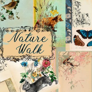 May include: A collection of vintage nature illustrations featuring a fox, butterflies, birds, flowers, and a rabbit. The words "Nature Walk" are displayed within a decorative frame. The colour palette is soft, with muted tones of blue, green, and beige.