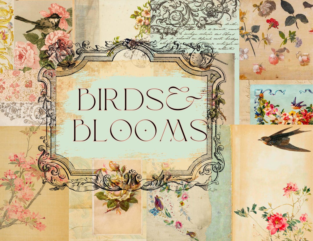 Vintage Birds & Flowers Add on Collage Pages Kit Paper Arts ...