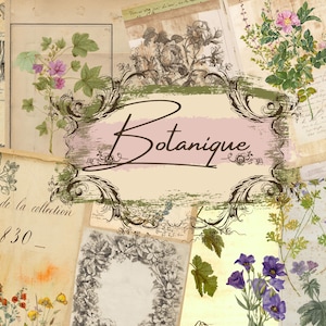 May include: A collage of vintage botanical illustrations and ephemera. The central element features the word "Botanique" in elegant script within a decorative frame. Various floral and plant drawings, along with handwritten text, create a layered, antique aesthetic.
