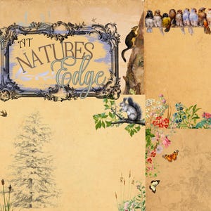 May include: A collage with vintage illustrations of nature scenes. It features a decorative sign reading "At Nature's Edge", birds, squirrels, flowers, and butterflies. The background has a textured, aged paper appearance.