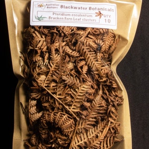 May include: A brown paper bag with a clear plastic window, containing a large quantity of dried brown Bracken Fern Leaf clusters. The bag has a label that reads "Blackwater Botanicals" and "Pteridium esculentum Bracken Fern Leaf clusters" with a quantity of "10".
