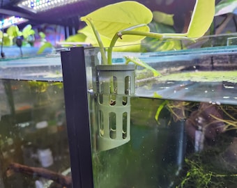 Cutting Keeper - Keep cuttings & plants in your aquarium