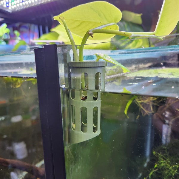 Cutting Keeper - Keep cuttings & plants in your aquarium