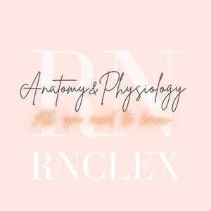 Anatomie und Physiologie Notizen - RNCLEX