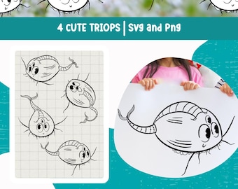 Triops Clipart Cute Animal SVG Animal PNG Educational Clipart for Kids Animal Illustrations Cartoon Animals Kawaii Animals Wildlife Art