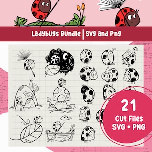 Ladybug PNG Ladybug Clipart Cute Insect Svg Insect Clipart Ladybug Vector Cute Bug Illustration Ladybird Clipart Bundle Cartoon Graphics Png