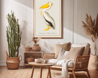 Pelican Print/Gift for the Bird enthusiast/Bird Prints/Digital Download/Bird watcher print/Birds/large Bird Prints/nature print/nature gifts