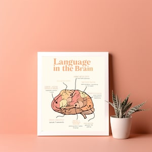 Printable Language Poster, Brain Anatomy for Language, Speech Therapy Office Decor, Grad School Diagram for Speech Language Pathologist