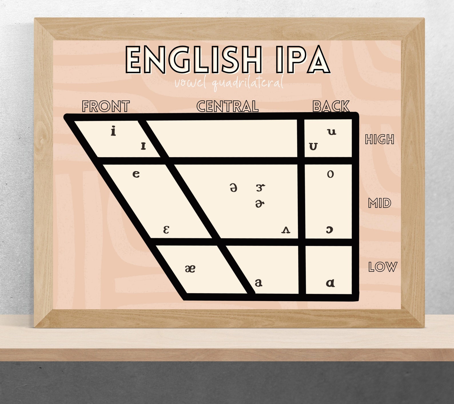 SLP Printable of English IPA Vowel Quadrilateral, Speech Pathology ...