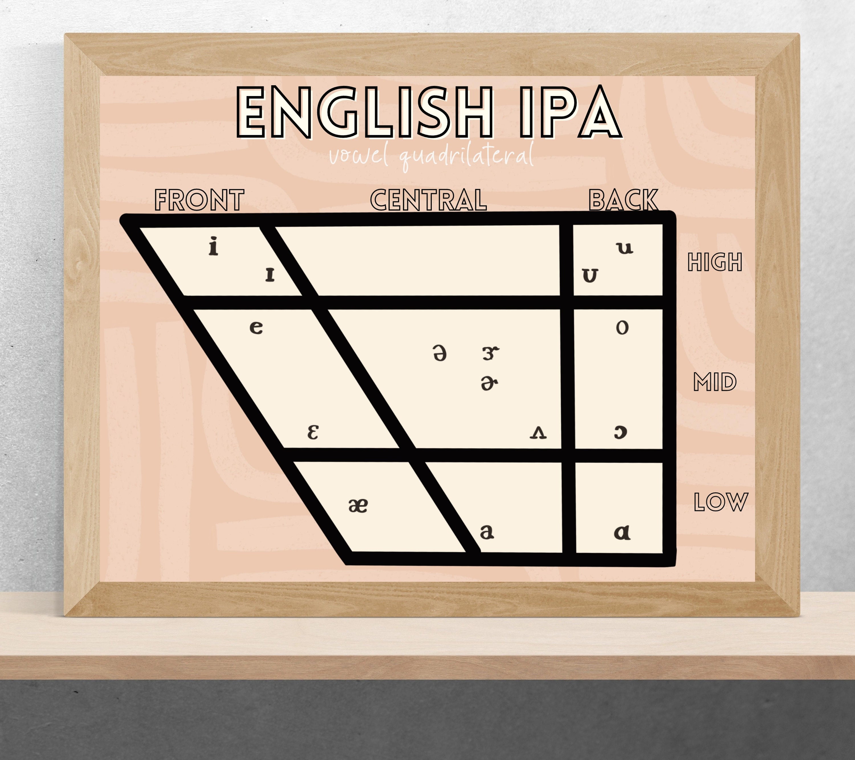 SLP Printable of English IPA Vowel Quadrilateral, Speech Pathology ...