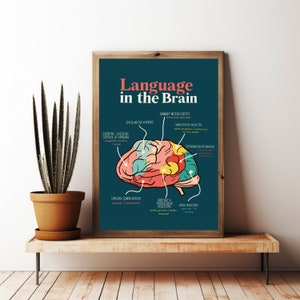 Printable Language Poster, Brain Anatomy for Language,  Speech Therapy Office Decor,  Grad School Diagram for Speech Language Pathologist