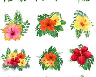 Hibiscus Stickers, Hibiscus Plant, Planner stickers, Plant stickers, Journal stickers
