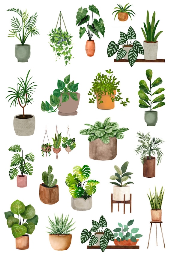Plant stickers discount