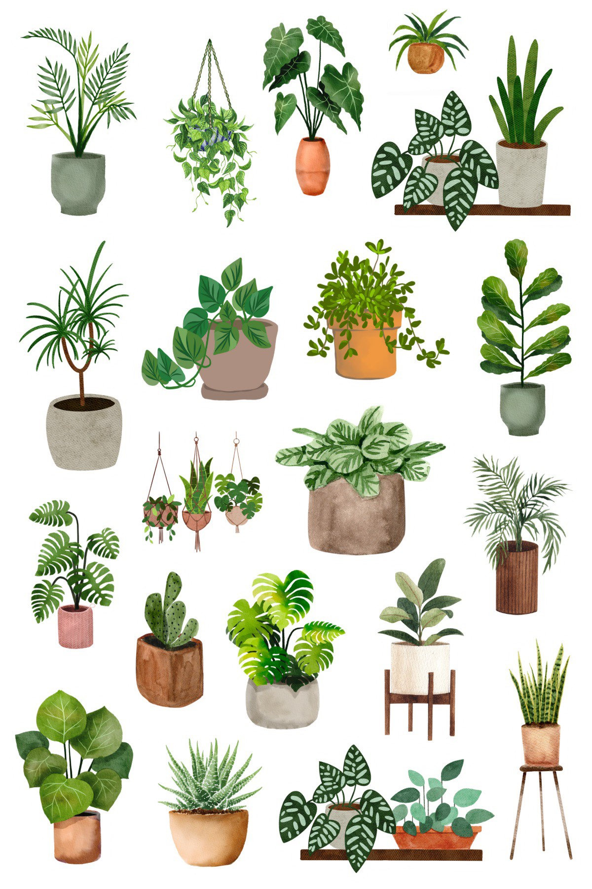 Plant Stickers - Etsy